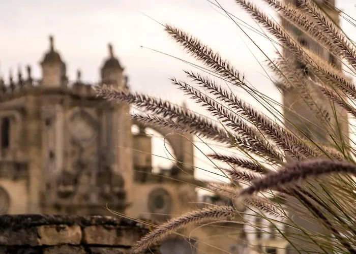 Langreo Lägenhet Jerez de la Frontera