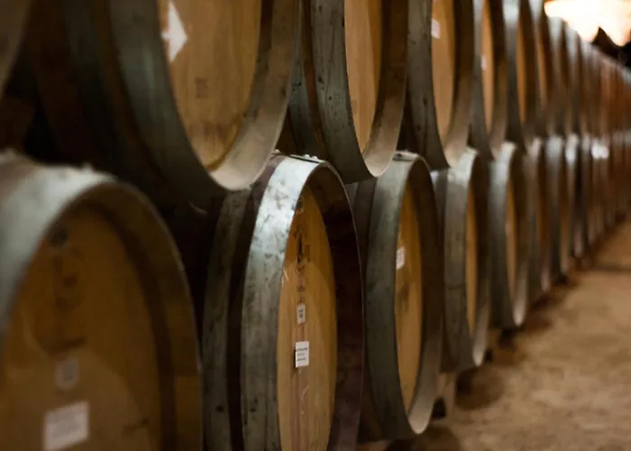 Langreo Lägenhet Jerez de la Frontera